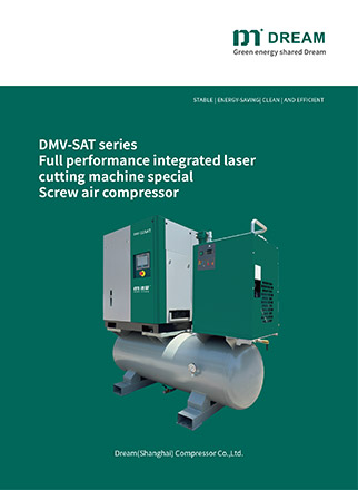 DREAM Серия винтовых воздушных компрессоров DMV-SAT.pdf  